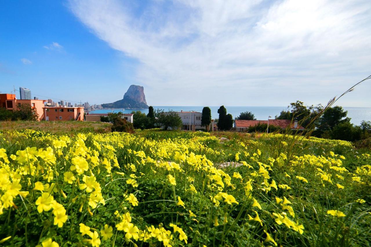 Homeincalpe Borumbot Экстерьер фото